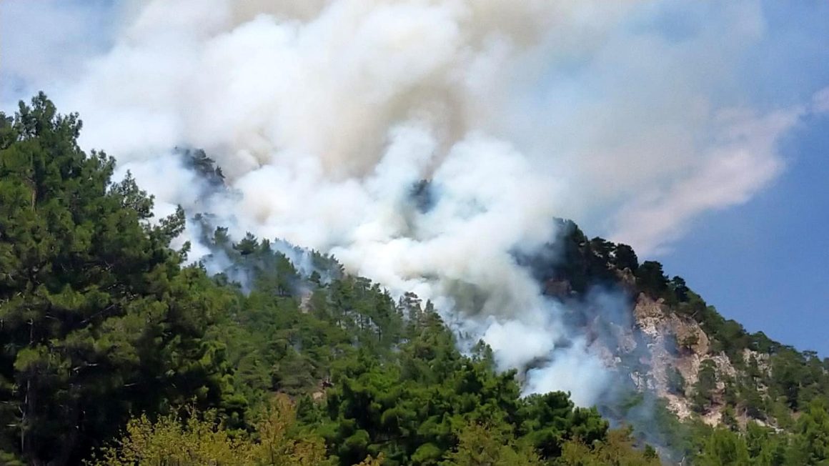 Antalya'nın Kumluca ilçesinde dün çıkan orman yangını, sabah saatlerinde kontrol altına alındı. Ekiplerin soğutma çalışması sürüyor. Fotoğraf: Kumluca (Antalya), (DHA)